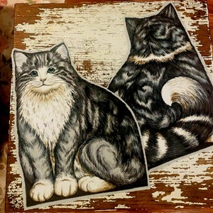 Könnte beinhalten: Zwei ausgestanzte Illustrationen einer langhaarigen Katze. Eine Katze ist von vorne dargestellt, mit grau-schwarzer Tabby-Zeichnung sowie weißer Brust und Pfoten. Die zweite Katze ist von hinten zu sehen, mit dunklem Streifenmuster und weißer Schwanzspitze.