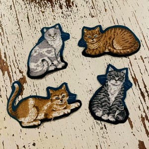 May include: Four embroidered cat patches featuring detailed designs. One patch shows a seated grey and white cat, another a reclining brown tabby, a third a lying ginger cat, and the fourth a seated grey and black striped tabby cat with white accents.