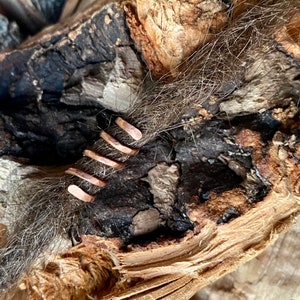 Puede incluir: Primer plano de un mechón de pelo marrón envuelto con varios anillos pequeños para el pelo de color cobre.