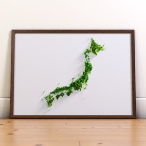 Japan terrain relief map print