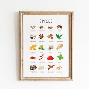 Arten von Gewürzen Drucken | Gewürze Ratgeber Poster | Gewürzkarte | Kochen Gewürze Printable | Küche und Esszimmer Wandkunst | Küche-Wand-Dekor
