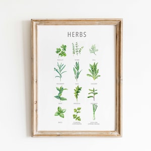 Garden Herb Print, Kitchen Herbs Guide, Cooking Herbs Poster, Botanical Herbs Print, Kitchen & Dining Wall Art, Kitchen Wall Art