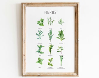 Garden Herb Print, Kitchen Herbs Guide, Cooking Herbs Poster, Botanical Herbs Print, Kitchen & Dining Wall Art, Kitchen Wall Art