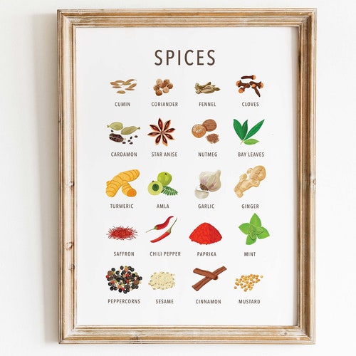 Types of Spices Print Spices Guide Poster Spice Chart Etsy