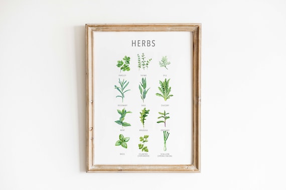 Garden Herb Print, Kitchen Herbs Guide, Cooking Herbs Poster, Botanical Herbs Print, Kitchen & Dining Wall Art, Kitchen Wall Art