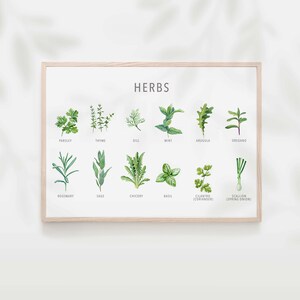 Types of herb print, Herb guide kitchen poster, Herb poster, Kitchen prints download, Kitchen printable wall art, Kitchen prints wall art image 2