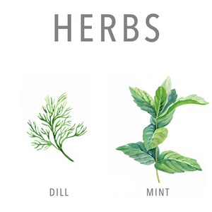 Types of herb print, Herb guide kitchen poster, Herb poster, Kitchen prints download, Kitchen printable wall art, Kitchen prints wall art image 5