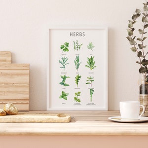 May include: A white framed print with the word "HERBS" at the top. The print features illustrations of various herbs, including parsley, thyme, dill, rosemary, sage, chicory, mint, arugula, chives, basil, coriander, and spring onions.