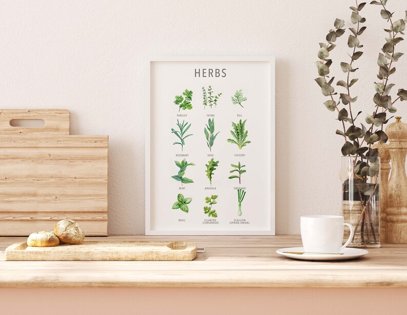 May include: A white framed print with the word "HERBS" at the top. The print features illustrations of various herbs, including parsley, thyme, dill, rosemary, sage, chicory, mint, arugula, chives, basil, coriander, and spring onions.
