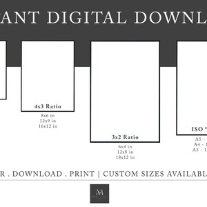 Types of herb print, Herb guide kitchen poster, Herb poster, Kitchen prints download, Kitchen printable wall art, Kitchen prints wall art image 6