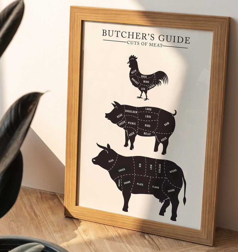 May include: A black and white illustration of a butcher's guide to cuts of meat. The illustration shows a chicken, pig, and cow with labels for different cuts of meat.
