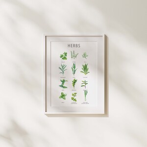 May include: A white framed print with the word "HERBS" at the top. The print features 12 different types of herbs with their names listed below each illustration. The herbs are drawn in a watercolour style.