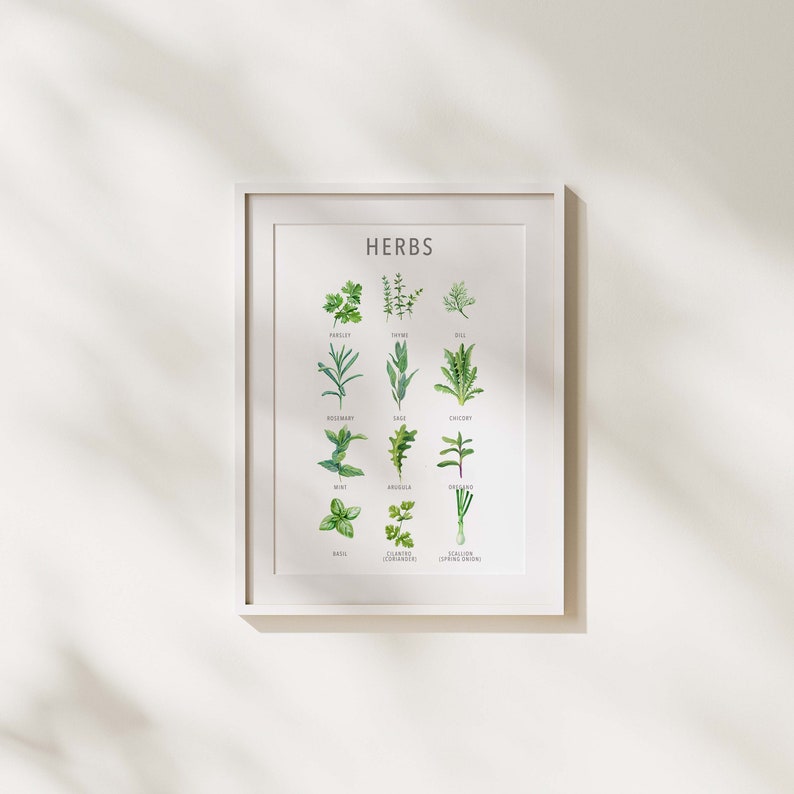 May include: A white framed print with the word "HERBS" at the top. The print features 12 different types of herbs with their names listed below each illustration. The herbs are drawn in a watercolour style.