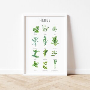 May include: A white framed poster with the word "HERBS" in black text at the top. The poster features watercolour illustrations of 12 different herbs with their names listed below each image.