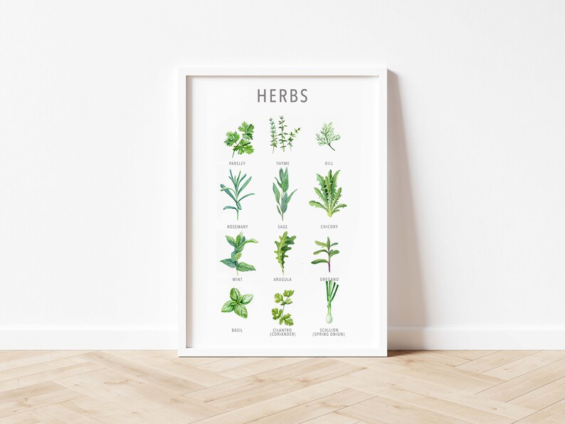 May include: A white framed poster with the word "HERBS" in black text at the top. The poster features watercolour illustrations of 12 different herbs with their names listed below each image.