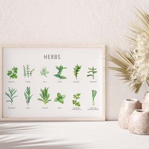 Types of herb print, Herb guide kitchen poster, Herb poster, Kitchen prints download, Kitchen printable wall art, Kitchen prints wall art image 4
