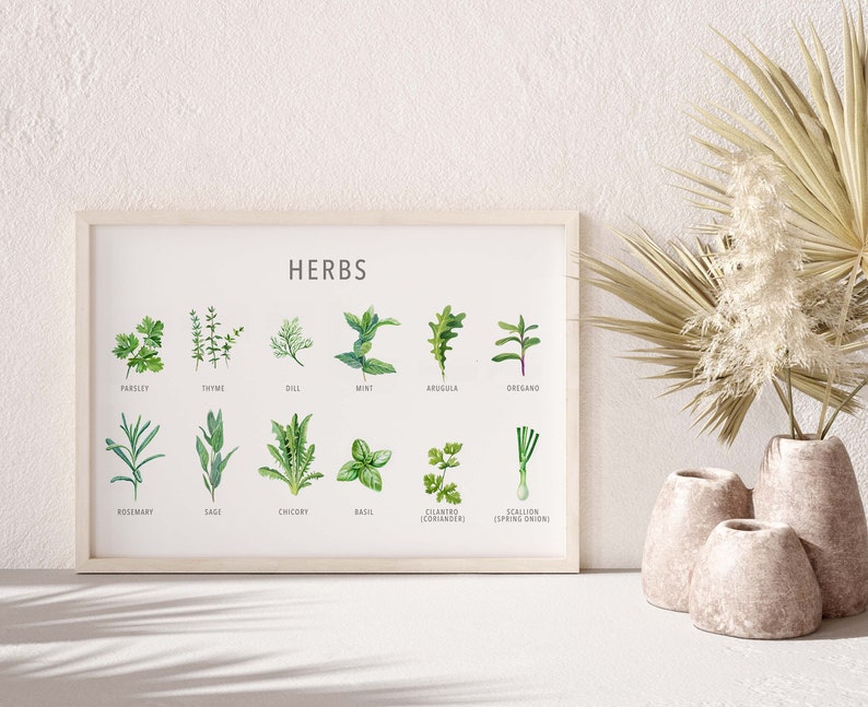 Types of Herb Print Herb Guide Kitchen Poster Herb Poster Etsy
