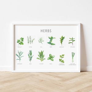 Types of herb print, Herb guide kitchen poster, Herb poster, Kitchen prints download, Kitchen printable wall art, Kitchen prints wall art image 3