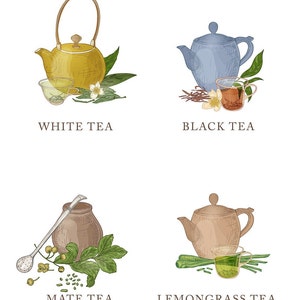 May include: Illustration of four different types of tea: white tea, black tea, mate tea, and lemongrass tea. Each tea is depicted with a teapot, a cup, and the tea leaves or herbs.
