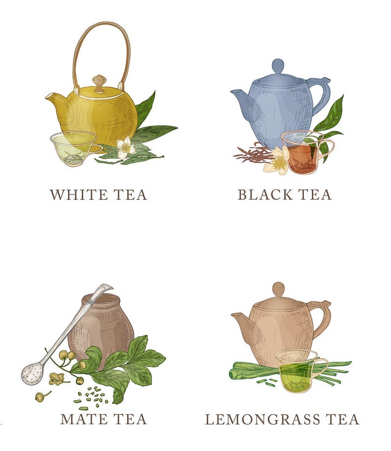 May include: Illustration of four different types of tea: white tea, black tea, mate tea, and lemongrass tea. Each tea is depicted with a teapot, a cup, and the tea leaves or herbs.