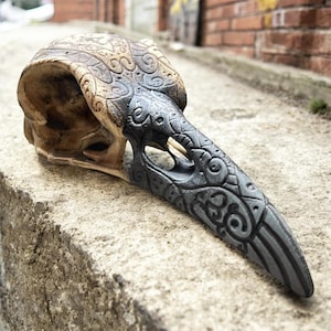 Raven skull decoration Gothic Medieval Viking Cosplay