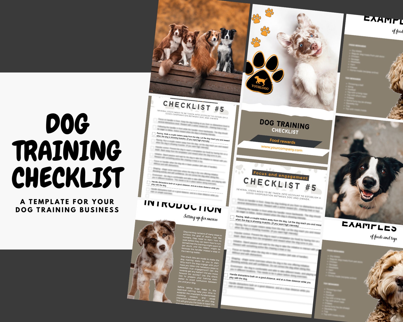 How Do I Start A Successful Dog Training Business