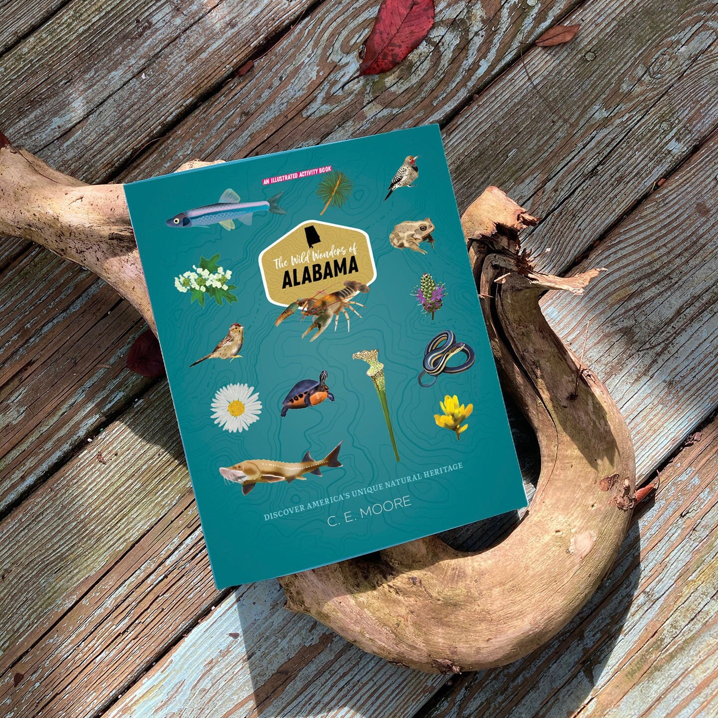 The Wild Wonders of Alabama // Illustrated Activity Book - Etsy