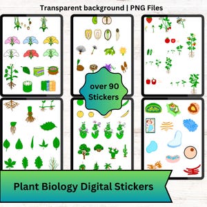 May include: Digital stickers for plant biology, featuring various plant parts and life cycle stages. The image includes colorful illustrations of flowers, leaves, roots, seeds, and more, with the text "over 90 Stickers" and "Plant Biology Digital Stickers".
