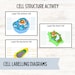 Interactive Cell Structure Activity and Flashcards | Educational ...