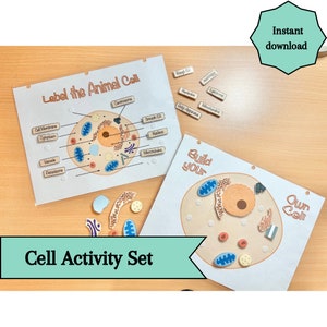 Cell Structure Homeschool activity set with Printable Cell Diagram | Animal Cell Model | Plant Cell | Bacteria Cell