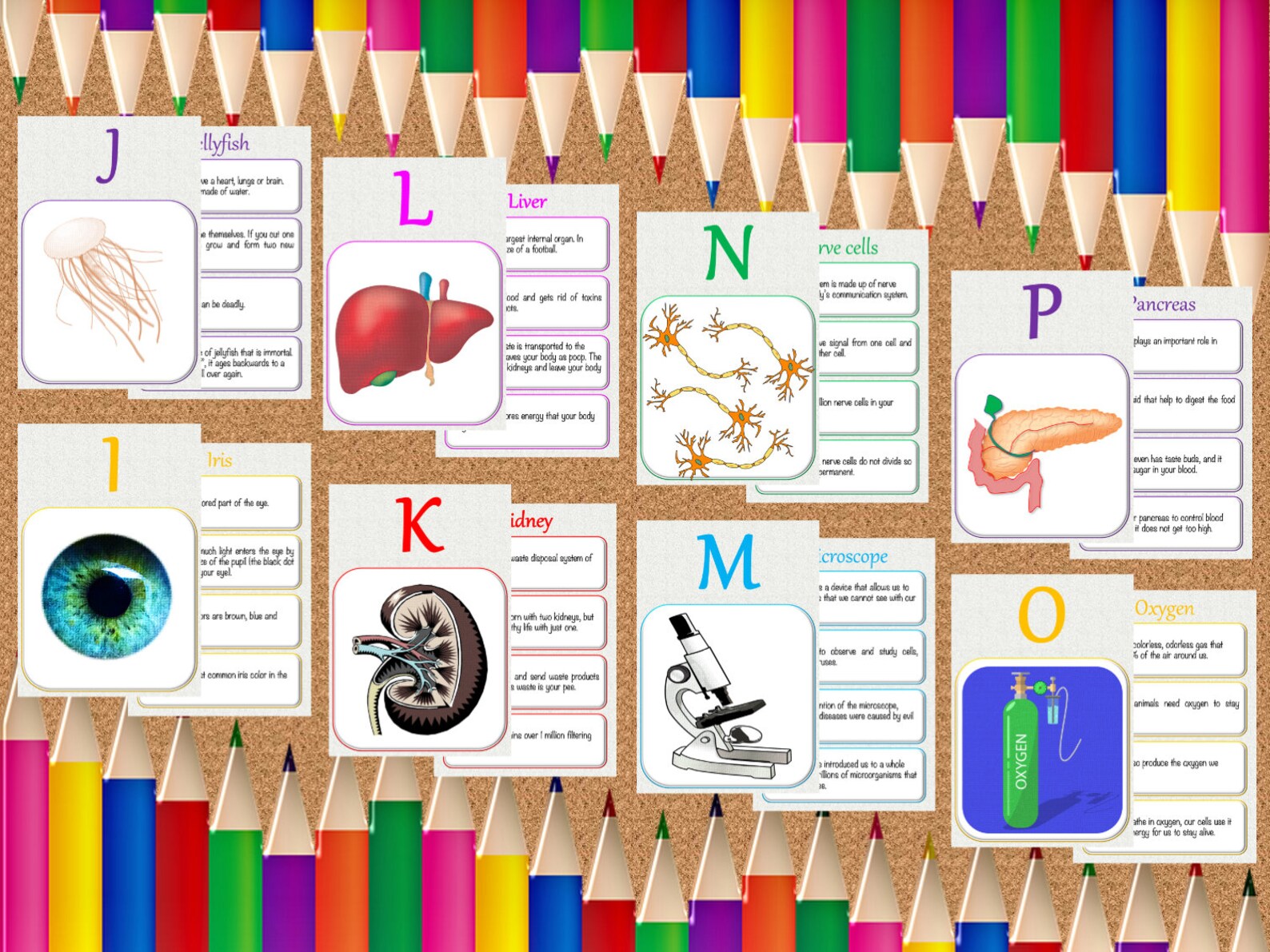 Abcs of Biology Printable Flashcards | Etsy