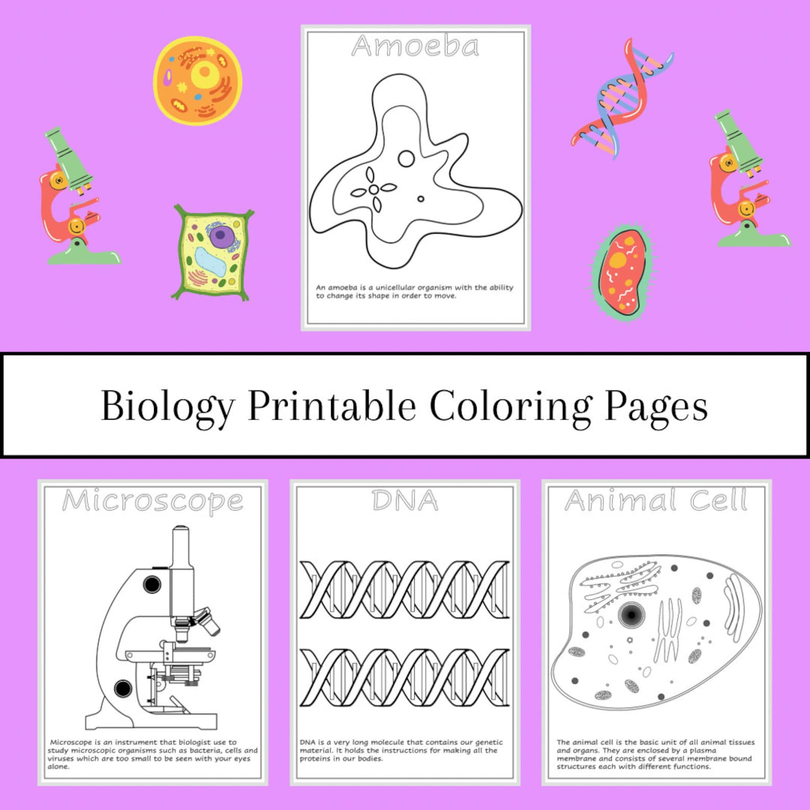 Biology Printable Coloring Pages Biology for Kids Biology for ...