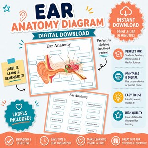May include: A digital ear anatomy diagram with labelled parts. The diagram is in orange, red, and white, with the text "Ear Anatomy Diagram" at the top. Additional text includes "Labels Included!" and "Print & Use in Minutes!"