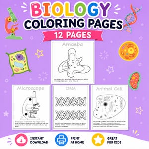 以下が含まれることがあります： 紫色の背景に「BIOLOGY COLORING PAGES」と「12 PAGES」の文字。アメーバ、顕微鏡、DNA、動物細胞のイラストが描かれています。「INSTANT DOWNLOAD」、「PRINT AT HOME」、「GREAT FOR KIDS」の文字も含まれています。