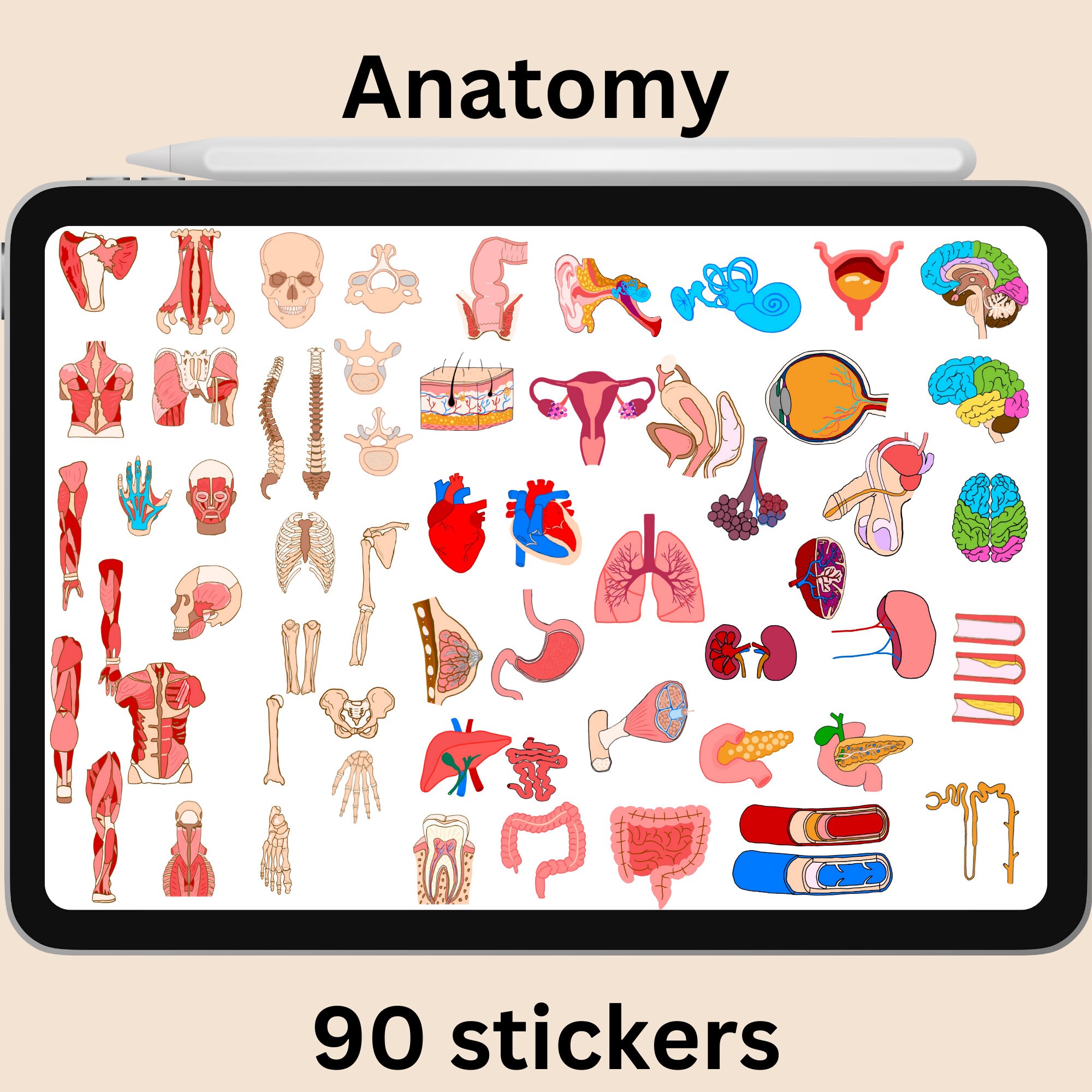 Medical Digital Stickers Including Anatomy, Cell Biology and Clinical ...
