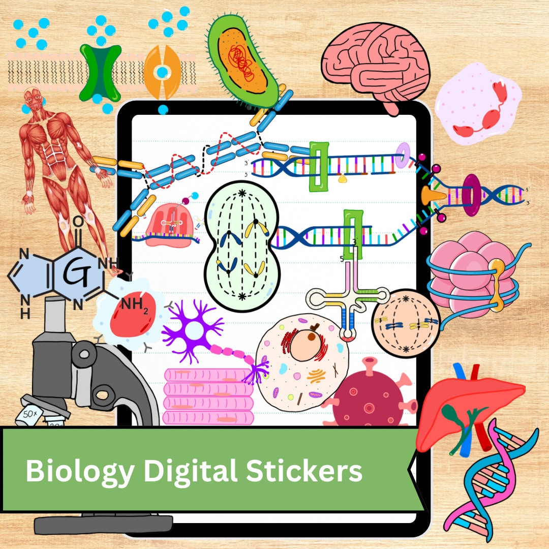 Digital Stickers for Biology, Biochemistry, Nursing and Medical Students Goodnotes Stickers