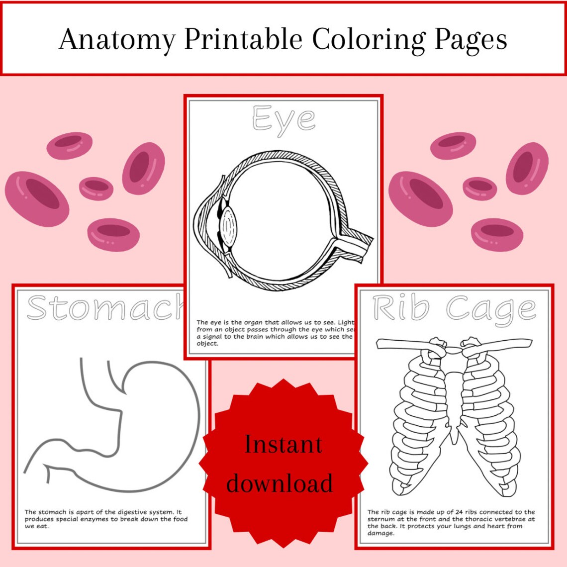 Human Anatomy Printable Coloring Pages, for Preschool, Daycare ...