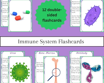 Immune System Flashcards for Kids / Germs / Bacteria / Vaccines