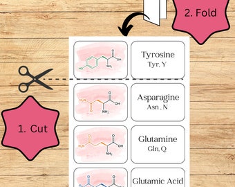 洋書 Biochemistry Flash Cards 洋書 Biochemistry Flash Cards Biochemistry Flashcard