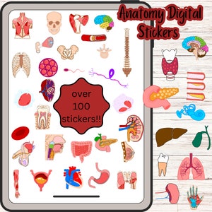 May include: A digital sticker sheet with over 100 colorful illustrations of the human body's anatomy. The stickers include images of the brain, heart, lungs, stomach, intestines, bones, muscles, and more. The stickers are perfect for adding a touch of science to your planner, journal, or laptop.