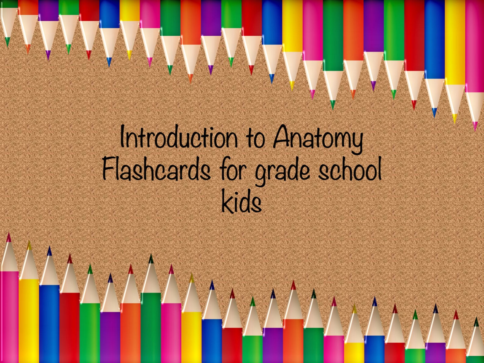Anatomy Printable Flashcards / Anatomy for Kids / Human | Etsy