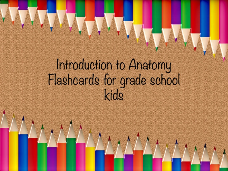 Anatomy Printable Flashcards / Anatomy for Kids / Human | Etsy