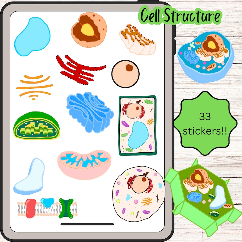 Microbiology, Cell Biology Precropped Stickers for Goodnotes, Notability, Onenote Digital