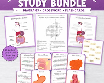 Digestive System Study Bundle with Flashcards, Diagram & Crossword Puzzle