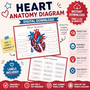 Può includere: Un diagramma digitale dell'anatomia del cuore con un'illustrazione del cuore rosso e blu. Il diagramma include etichette ed è progettato per uso didattico. Il testo include "Download digitale" e "Stampa e usa in pochi minuti!"