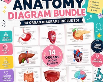 Human Organ Anatomy Diagram Bundle:  Student Study Guide