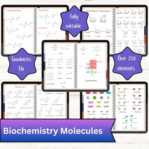 Biochemistry Digital hyperlinked Notebook with structures: Nucleic Acids, Amino Acids, Lipids, Carbohydrates - GoodNotes File