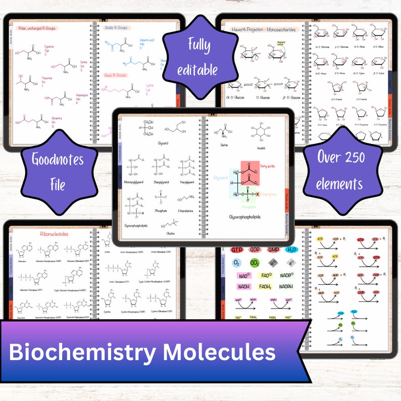 A digital notebook showcasing various pages on a tablet, including sections for amino acids, carbohydrates, nucleic acids, and lipids. The notebook features over 250 biochemical elements, with a “GoodNotes File,” “Fully Editable,” labels displayed.
