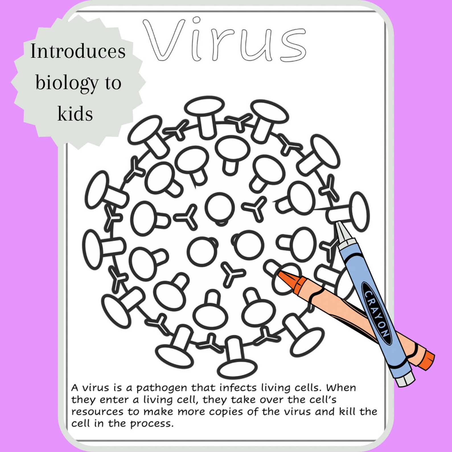 Biology Printable Coloring Pages - Il 1588xN.4730637691 8a2y 