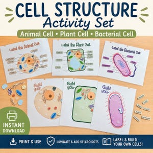 Conjunto de actividades sobre la estructura celular: Modelos de células animales, vegetales y bacterianas (diagrama imprimible)